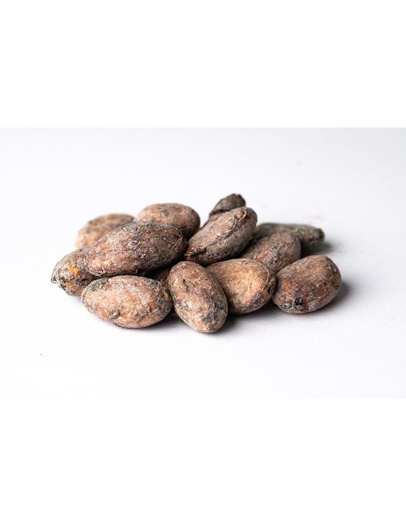 Cocoa Beans CPC Híbrido Trinitario "Guayas" Ecuador PC1 69kg bags