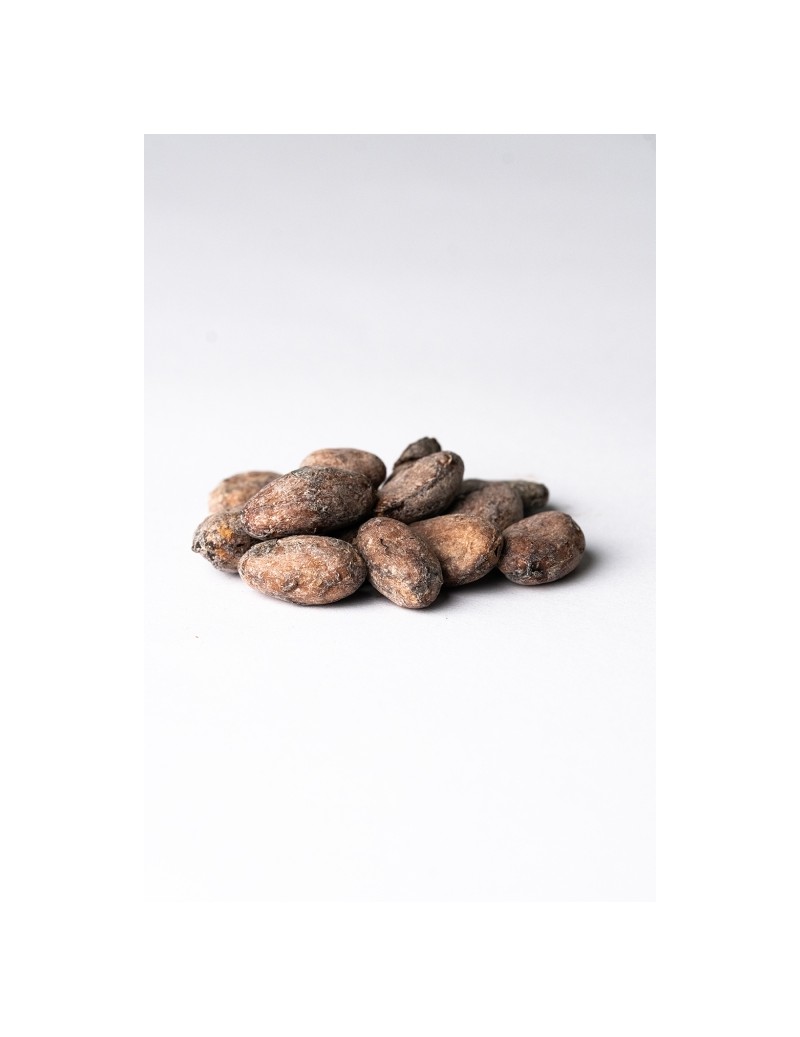 Cocoa Beans CPC "Guayas" Nacional Ecuador 69kg