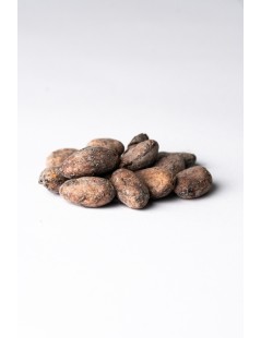 Cocoa Beans CPC "Guayas" Nacional Ecuador 69kg