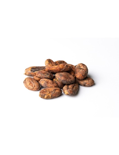 Cocoa Beans "Finca Manantiales" Nacional Manabí, Ecuador 20kg Box (fermentadas sin tostar)