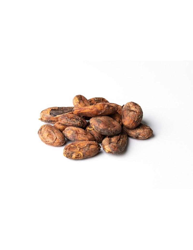 Cocoa Beans "Finca Manantiales" Nacional Manabí, Ecuador 20kg Box (fermentadas sin tostar)
