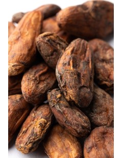 Cocoa Beans "Fotaleza del Valle" Nacional Ecuador 20kg Box (fermentadas sin tostar)