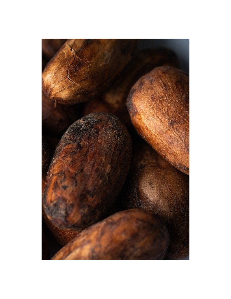 Cocoa Beans Monteverde "CPC" 2 Hibrido Trinitario Ecuador 250gr (fermentadas sin tostar)