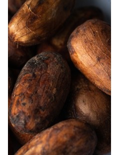 Cocoa Beans Monteverde "CPC" 2 Hibrido Trinitario Ecuador 250gr (fermentadas sin tostar)