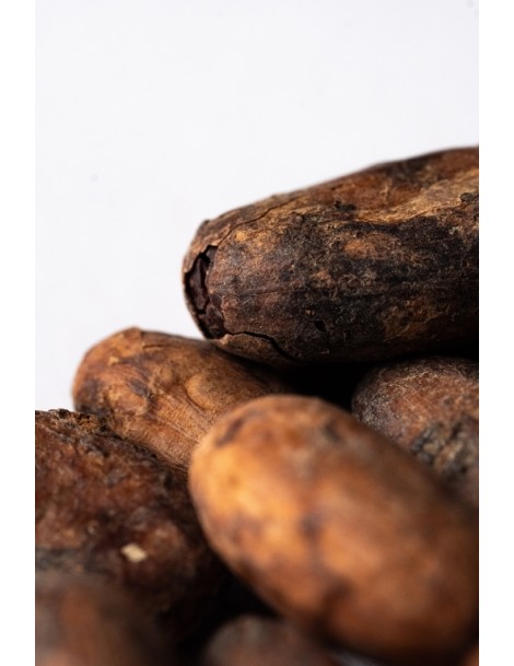 Cocoa Beans Monteverde "Finca Manantiales" Nacional Arriba 1Kg  (fermentadas sin tostar)