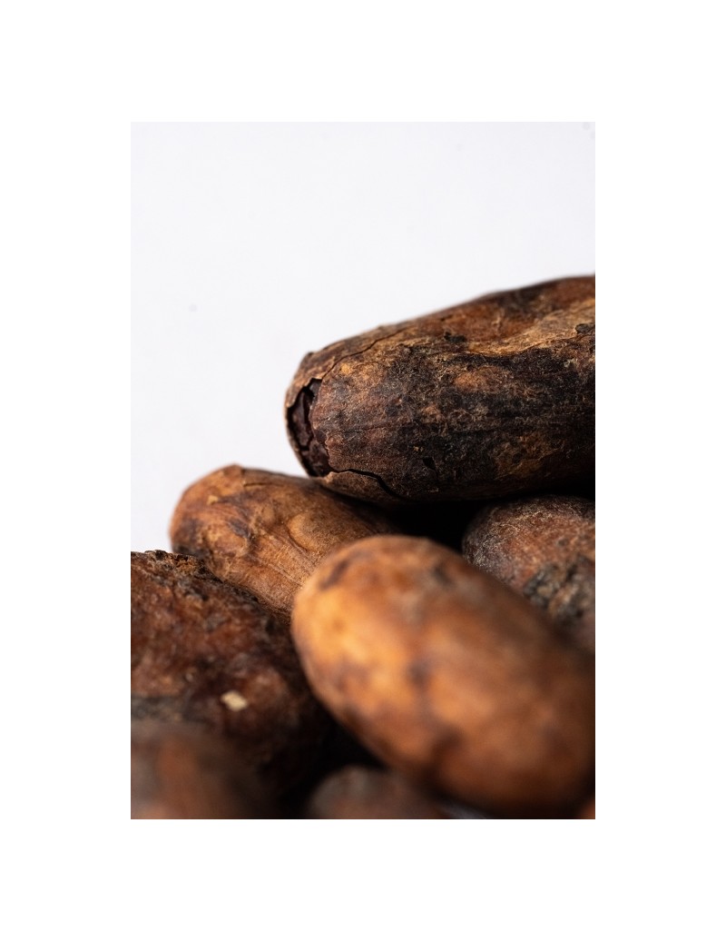 Cocoa Beans Monteverde "Finca Manantiales" Nacional Arriba 1Kg  (fermentadas sin tostar)