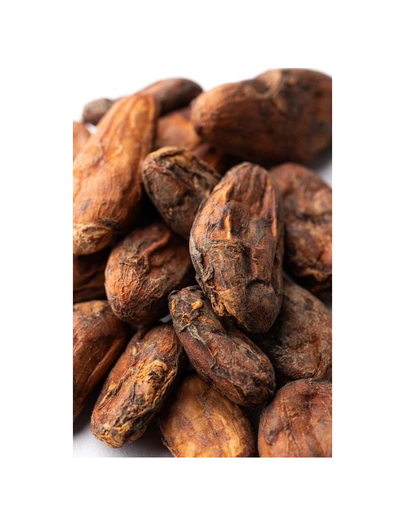 Cocoa Beans Monteverde "Fortaleza del Valle" Nacional Arriba 1Kg (fermentadas sin tostar)