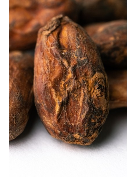 Cocoa Beans CPC "Guayas" Nacional Ecuador 69kg
