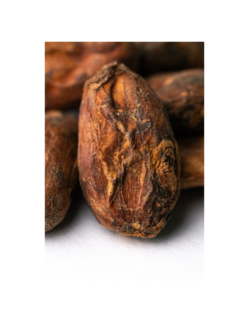 Cocoa Beans CPC "Guayas" Nacional Ecuador 69kg