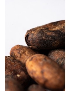 Cocoa Beans "Fotaleza del Valle" Nacional Ecuador 20kg Box (fermentadas sin tostar)
