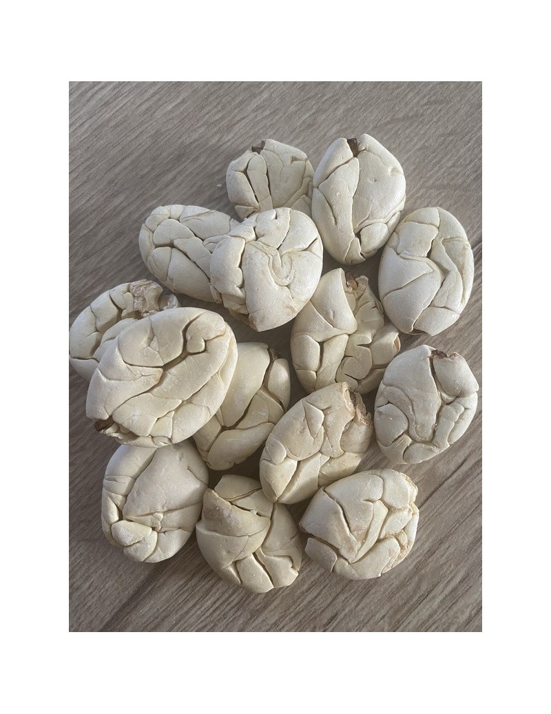 Macambo Beans Monteverde 2kg